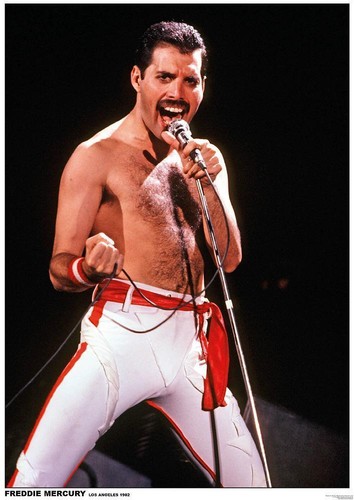 Queen poster freddie mercury - poster,