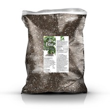 Ficus erde profi - profi, 10l