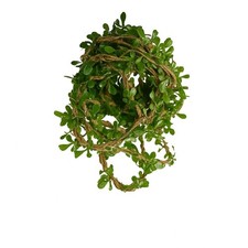 6m Rebengirlande Girlande