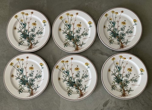 Villeroy boch botanica - villeroy,