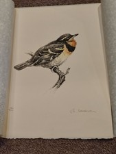 Vintage Print VARIED THRUSH
