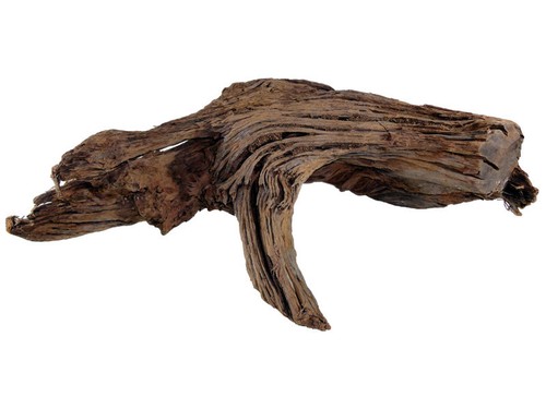 Wurzel aus mahagoni - aus, 15-30cm