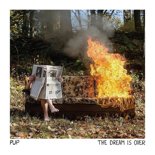 Pup the dream over - dream, is
