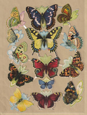 Glanzbilder alt Bogen Schmetterlinge DDR