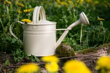 Gießkanne 3,5 Liter Creme Metall Zinkkanne Verzinkt Kanne 1015 Wasserkanne