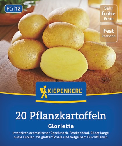 Pflanzkartoffel glorietta 20 - pflanzkartoffel,