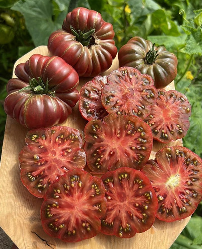 Samen tomate purpur - 10,