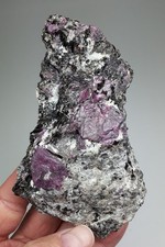 Rubin - Mysore, Indien