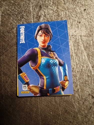 Panini fortnite - x,