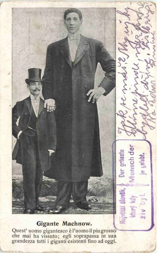 Gigante machnow zircus - machnow,