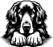 HOVAWART Aufkleber -