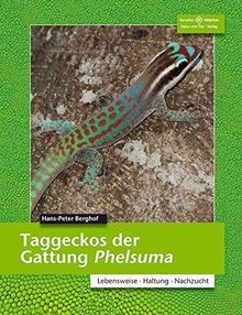 Taggeckos der gattung phelsuma - der,
