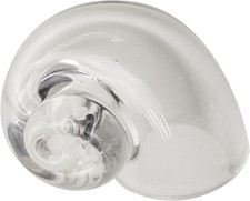 Große Einsiedlerkrebs Schalen