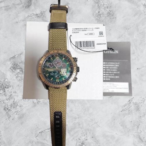 Citizen blue angels promaster - citizen,