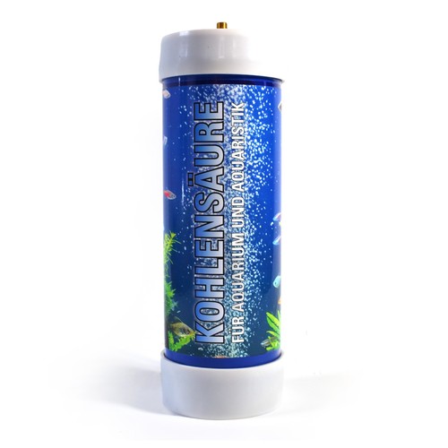 Co2 einweg flasche 2000g - co2,