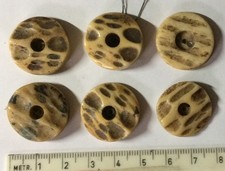 Sechs Knöpfe aus Horn für