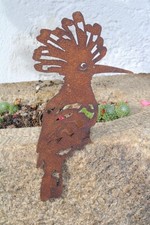 Kantenhocker Wiedehopf aus