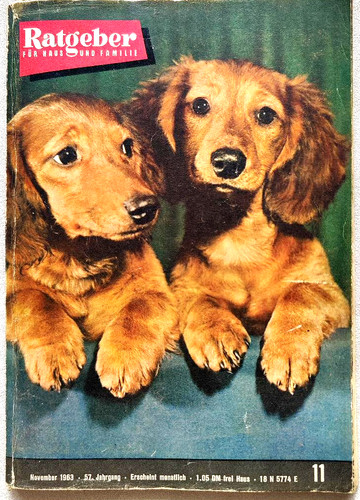 Zeitschrift ratgeber für haus - zeitschrift,