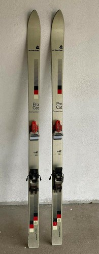 Erbacher ski procat silber - erbacher,