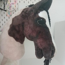 Hobby horse - hobby,