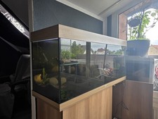 Verkaufe Juwel Aquarium Rio 240+ Mini Aquarium  27 Liter  Komplett Für 500 € VB