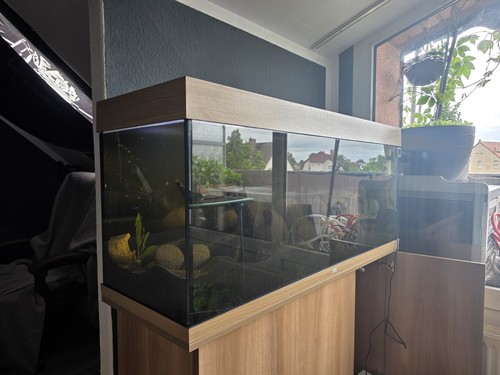Verkaufe juwel aquarium - aquarium, rio