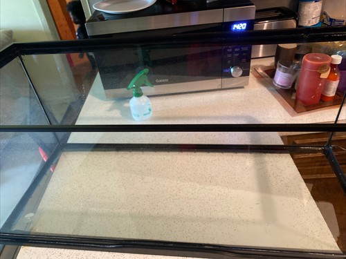 terrarium