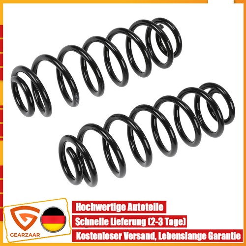 Fahrwerksfedern hinten links - hinten,