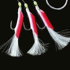 Jenzi Norwegen Angeln