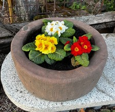 Trog Kübel Pflanztrog