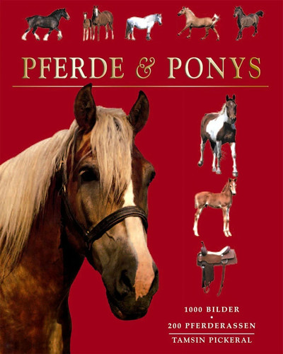 Pferde ponys buch - ponys,