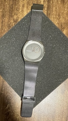 Skagen havene titanium - skagen,