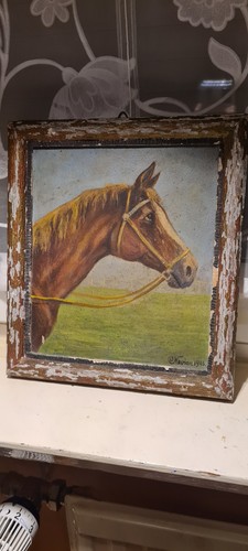 Carl nevian dachbodenfund - carl,