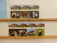 Katrin Kaiser Die Pferdeklinik