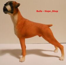 Best of Breed Deutscher Boxer
