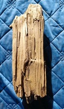 Treibholz Schwemmholz