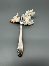 Deetjen Beseck versilbert