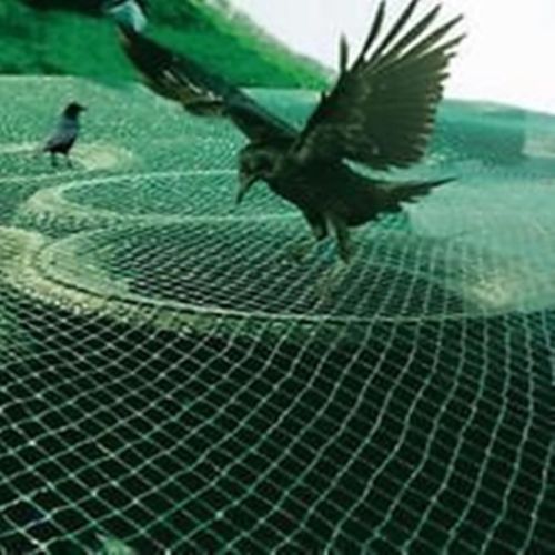 Vogel netz vogelschutznetz - netz,