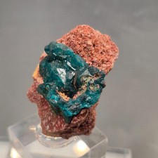 💎Video🌈Top kleine