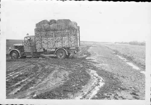 Wk2 foto photo pkw - pkw, kfz