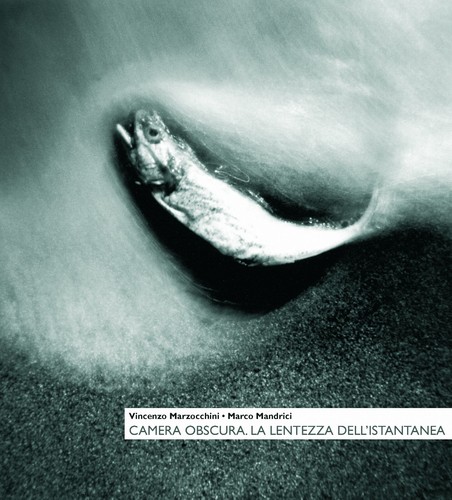Camera obscura - camera,