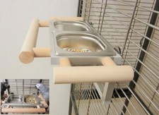 Papageien Freisitz Vögel