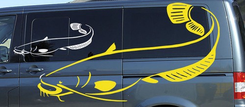 Angeln wels fisch - wels, aufkleber