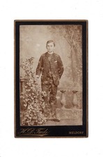 CDV Foto Feiner Junge -