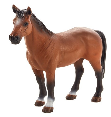 Mojo 387350 trakehner cm - 13,