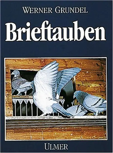 Brieftauben