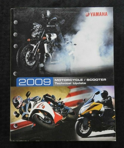2009 yamaha xvs1100 1600 - 2009, 1700