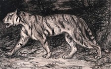 Französische Zeichnung