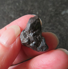 SELTENER NAMIBISCHER TSESIT