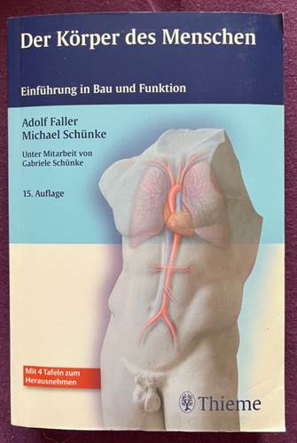Der körper des - des, menschen